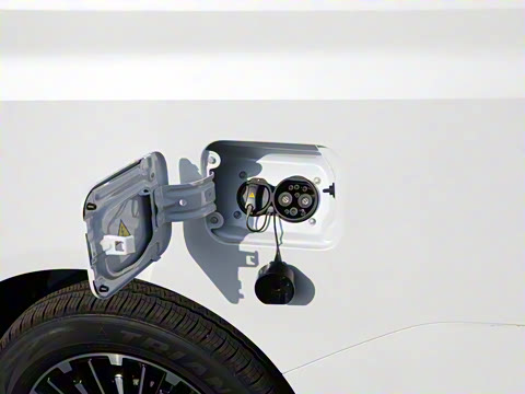 2025�� 401km ���� 7��