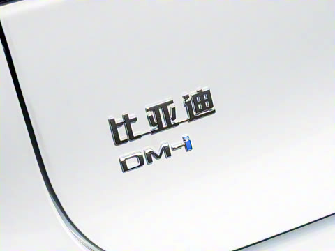 2025�� DM-i 115KM �����