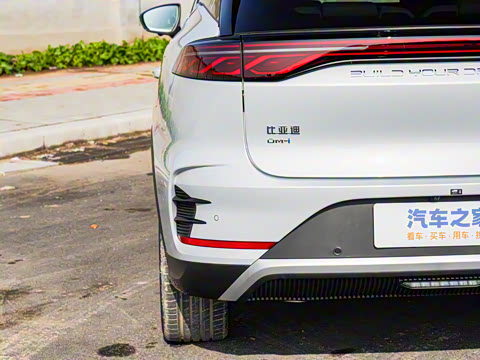 2025�� DM-i 115KM �����