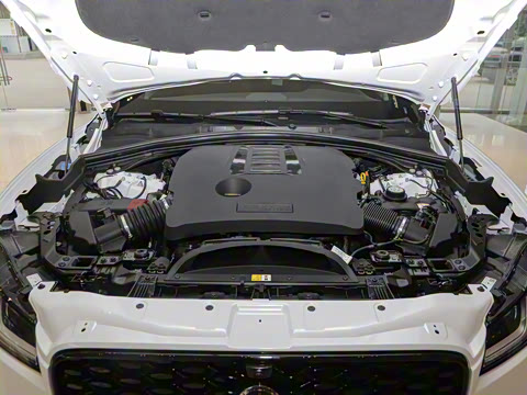 2025�� P400 SPORT