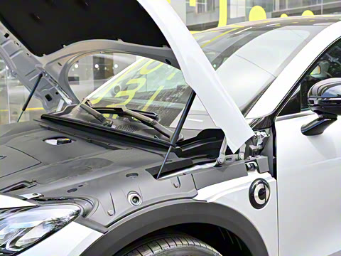 2024�� �Ͷ���������