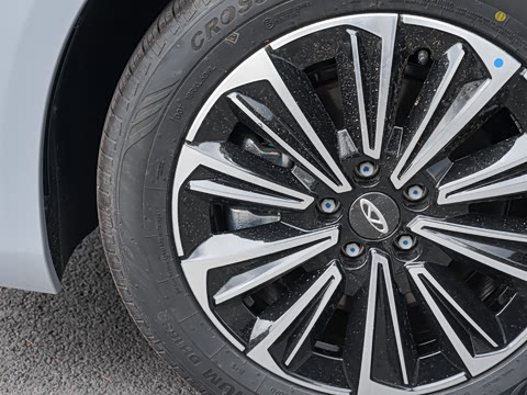 2024�� 127 Զ���� ������