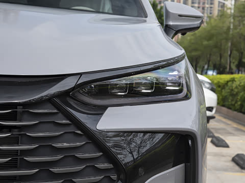 2025�� DM-i 115KM ������