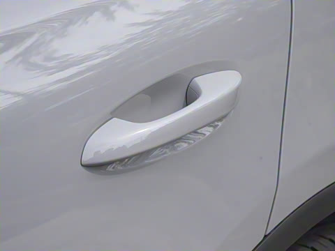 2025�� DM-i 115KM ������