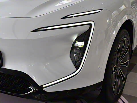 2024�� Max���̰�