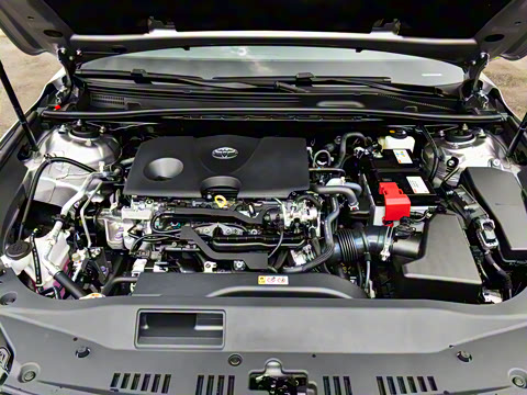 2024�� 2.0L ��ѡ��