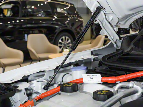 2025�� 2.0T EcoBoost E �춯 �˶���