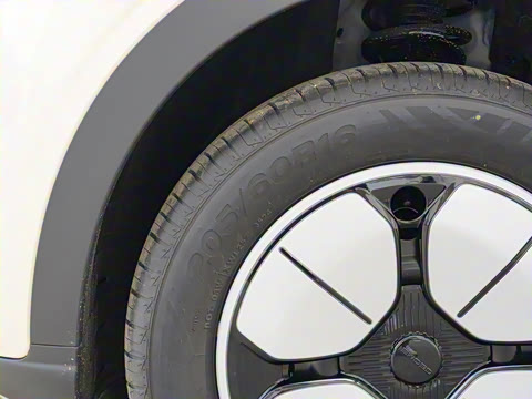 2025�� 310km �ഺ��