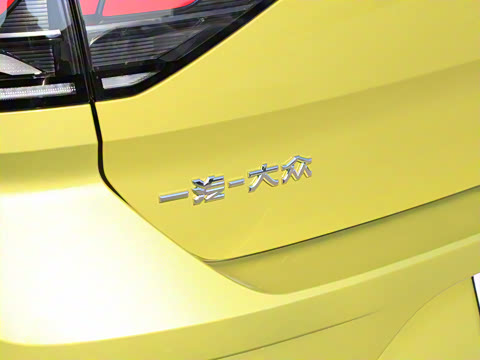 2025�� 300TSI DSG���������