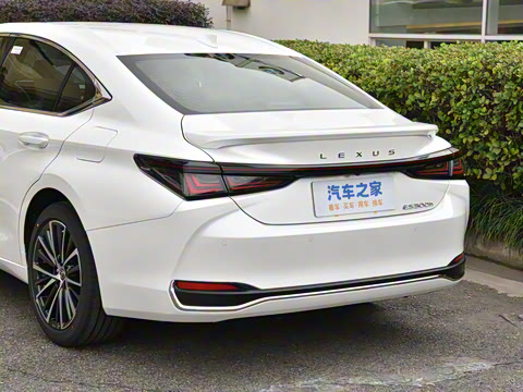 2025�� 300h ������