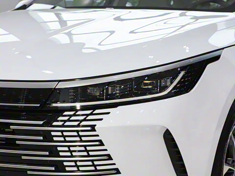 2024�� DM-i 55KM �캽��ҫ��