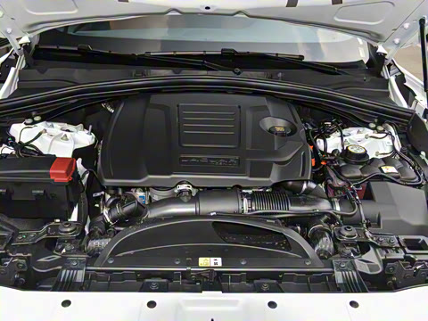 2025�� P250 R-Dynamic SE