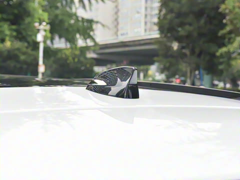 2025�� P250 R-Dynamic SE