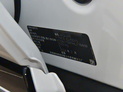 2025�� P250 R-Dynamic SE