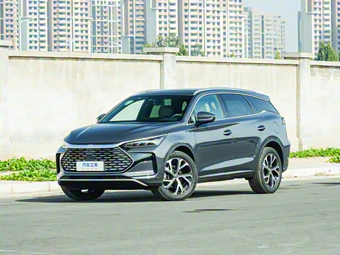 2025�� DM-i 115KM ������