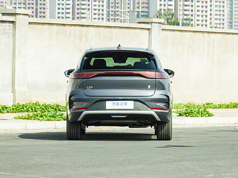 2025�� DM-i 115KM ������