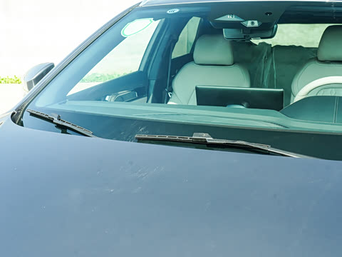 2025�� DM-i 115KM ������