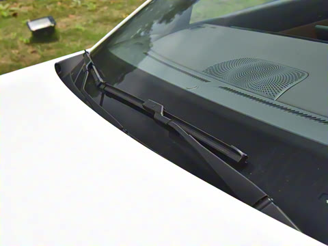 2024�� ���� 525������