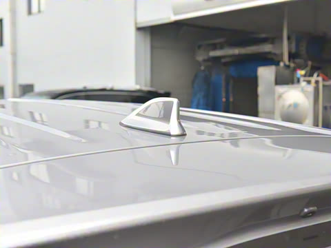 2024�� 2.0L ���ܵ��˫�� ��Ӣ��