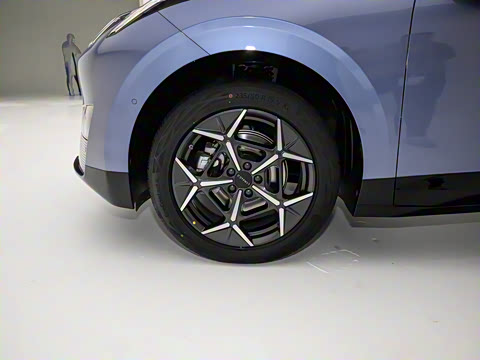 2025�� 530km ����Max