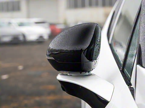 2025�� 530km ����Max