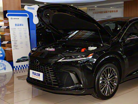 2025�� 350h ����������