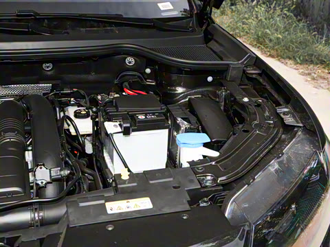 2024�� 280TSI �Զ��ȷ��