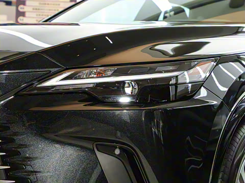 2025�� 350h ����������