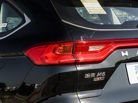 2023�� PLUS 1.5T DCT��Ӣ������