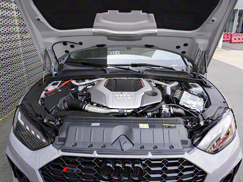 2024�� RS 5 2.9T Sportback ȼ���