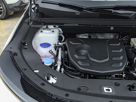 2025�� 1.5T ������ 5��