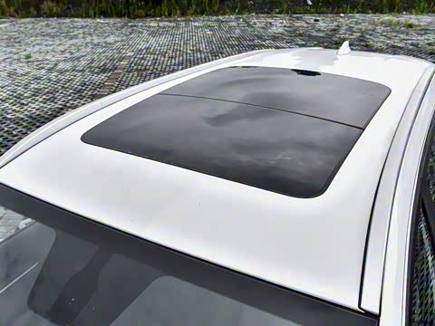 2024�� ������ 290TGDI �Զ����+�� 5��