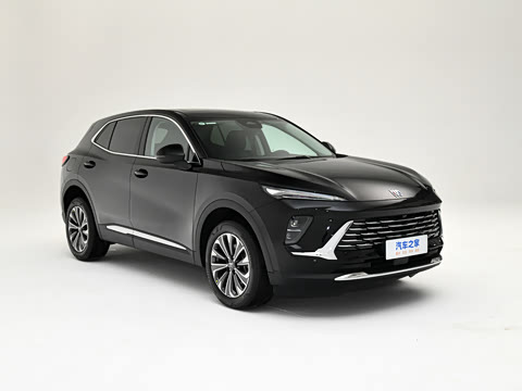 2025�� 25T �����׽��