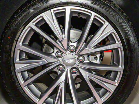 2023�� 25T �����