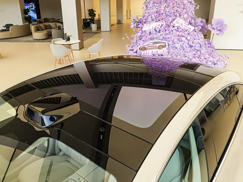 2025�� 705km Max