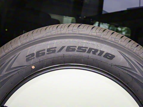 2023�� ̽����