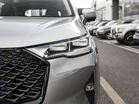 2024�� ������ 2.0T �Զ�����Max