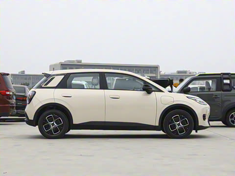 2025�� 420������