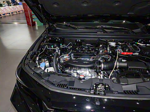 2025�� �˶�ϵ�� 260TURBO ����