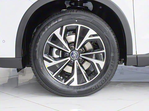 2025�� �ڶ��� �Ǽݰ� DM-i 75KM��Խ��