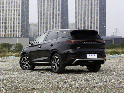 2025�� DM-i 115KM �����콢��