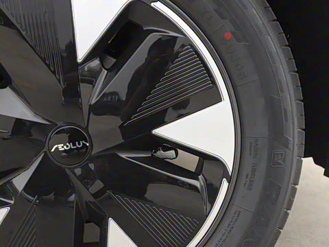 2025�� 205��������������