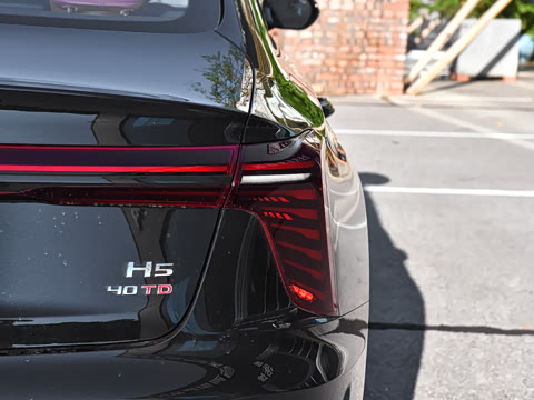 2025�� 2.0T �Զ���Ӱ��