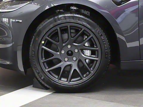 2025�� ����������