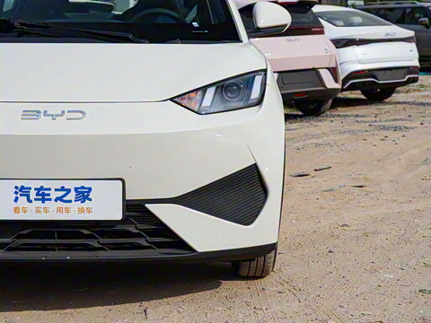 2025�� �Ǽݰ� 305km ������