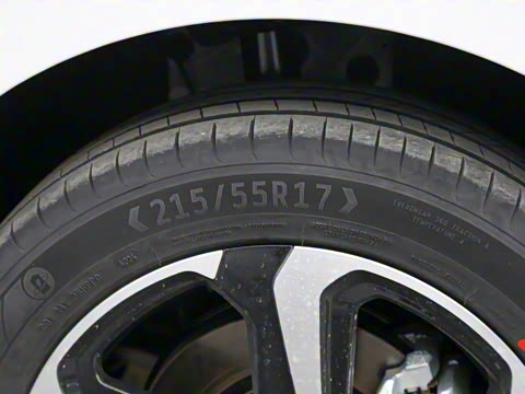 2025�� ���05 ������