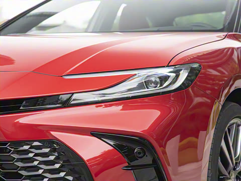 2024�� ˫�� 2.5HXS �˶�Plus��