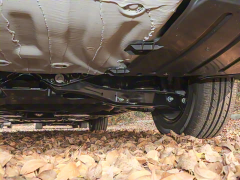 2025�� 200TSI DSG��Խ��