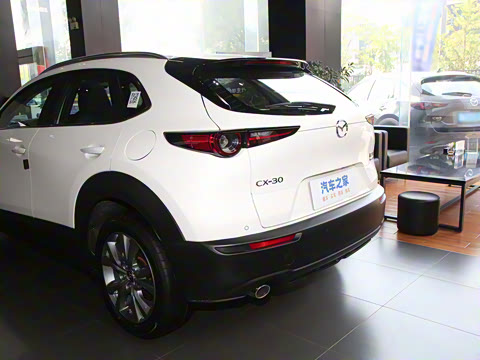 2024�� 2.0L �Զ�������