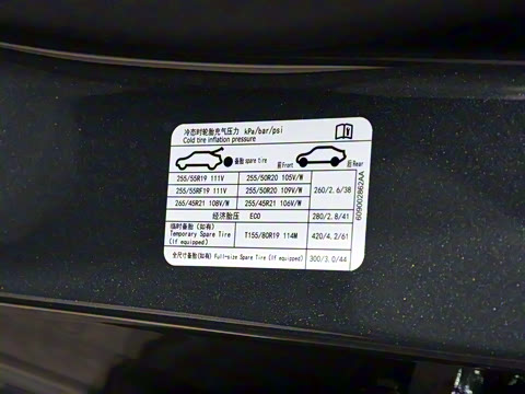 2025�� ���� 265 Max��������������ʻ